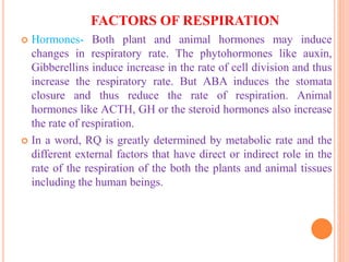 FACTORS OF RESPIRATION
 Hormones- Both plant and animal hormones may induce
changes in respiratory rate. The phytohormones like auxin,
Gibberellins induce increase in the rate of cell division and thus
increase the respiratory rate. But ABA induces the stomata
closure and thus reduce the rate of respiration. Animal
hormones like ACTH, GH or the steroid hormones also increase
the rate of respiration.
 In a word, RQ is greatly determined by metabolic rate and the
different external factors that have direct or indirect role in the
rate of the respiration of the both the plants and animal tissues
including the human beings.
 