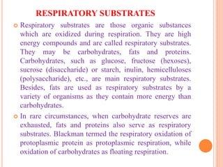 RESPIRATORY SUBSTRATES
 Respiratory substrates are those organic substances
which are oxidized during respiration. They are high
energy compounds and are called respiratory substrates.
They may be carbohydrates, fats and proteins.
Carbohydrates, such as glucose, fructose (hexoses),
sucrose (disaccharide) or starch, inulin, hemicelluloses
(polysaccharide), etc., are main respiratory substrates.
Besides, fats are used as respiratory substrates by a
variety of organisms as they contain more energy than
carbohydrates.
 In rare circumstances, when carbohydrate reserves are
exhausted, fats and proteins also serve as respiratory
substrates. Blackman termed the respiratory oxidation of
protoplasmic protein as protoplasmic respiration, while
oxidation of carbohydrates as floating respiration.
 