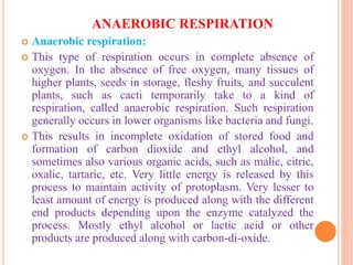 ANAEROBIC RESPIRATION
 Anaerobic respiration:
 This type of respiration occurs in complete absence of
oxygen. In the absence of free oxygen, many tissues of
higher plants, seeds in storage, fleshy fruits, and succulent
plants, such as cacti temporarily take to a kind of
respiration, called anaerobic respiration. Such respiration
generally occurs in lower organisms like bacteria and fungi.
 This results in incomplete oxidation of stored food and
formation of carbon dioxide and ethyl alcohol, and
sometimes also various organic acids, such as malic, citric,
oxalic, tartaric, etc. Very little energy is released by this
process to maintain activity of protoplasm. Very lesser to
least amount of energy is produced along with the different
end products depending upon the enzyme catalyzed the
process. Mostly ethyl alcohol or lactic acid or other
products are produced along with carbon-di-oxide.
 