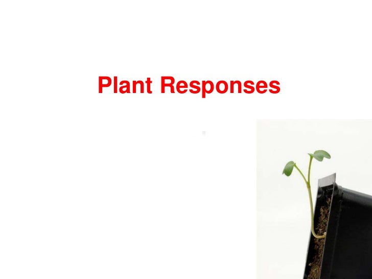 Plant responses