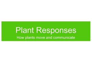 Plant Responses
How plants move and communicate
 