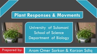 Prepared by: Aram Omer Sorkan & Karzan Sdiq
Plant Responses & Movments
University of Sulamani
School of Science
Department of Biology
 