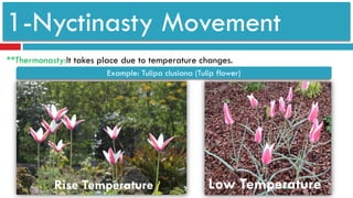 Thermonasty Example Plant responses and movements by aram omer sorkan | PDF