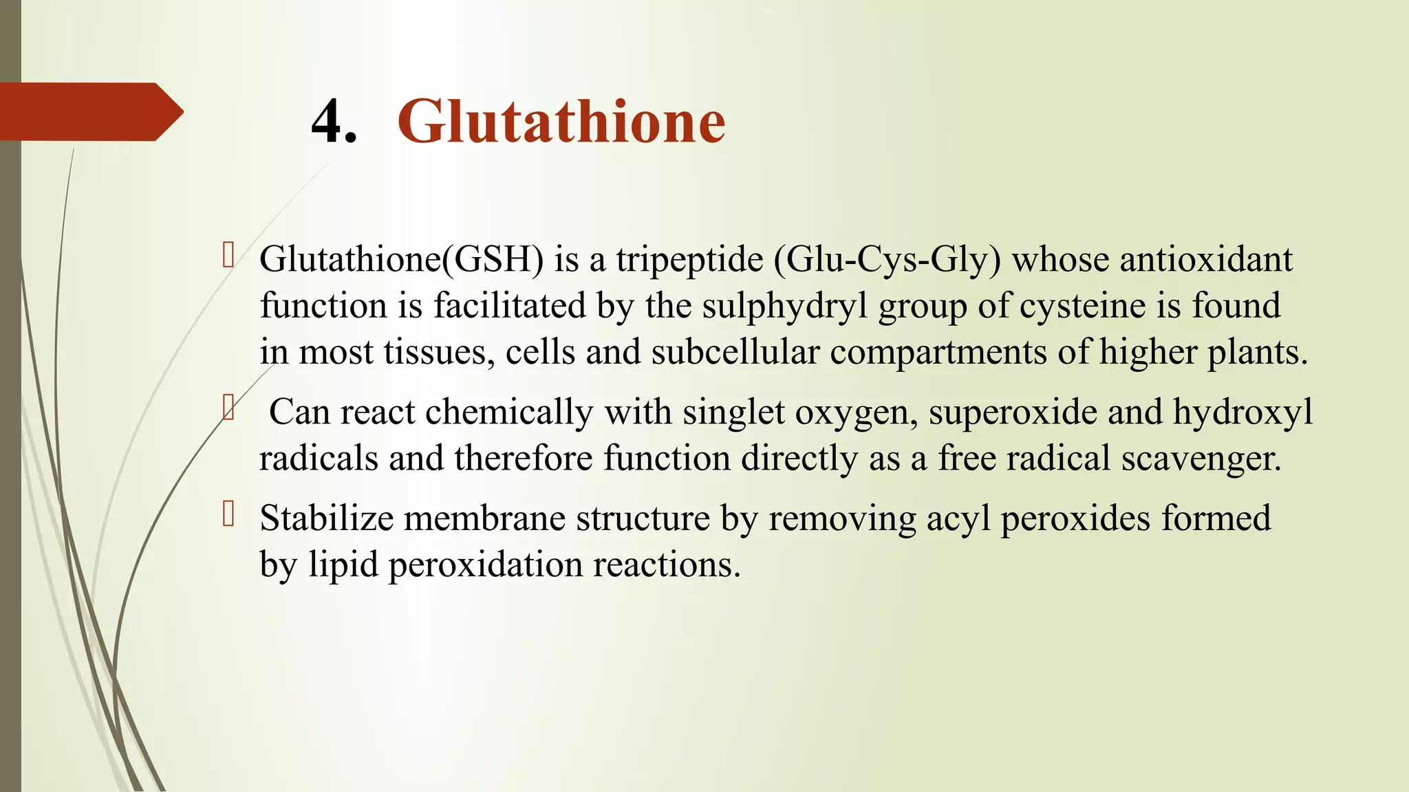 glutathione intestinal permeability Zinc-glutathione mitigates alcohol-induced intestinal and hepatic injury by  modulating intestinal zinc-transporters in mice
