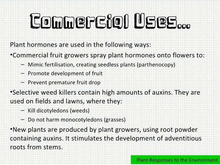 Plant responses to the environment