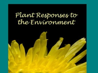 Plant Responses to
 the Environment
 