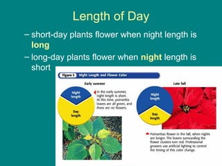 Length of Day
– short-day plants flower when night length is
  long
– long-day plants flower when night length is
  short
 