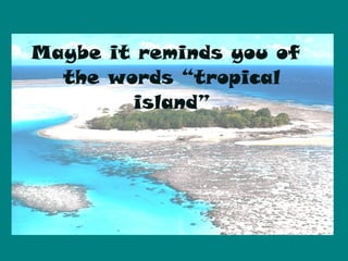 Maybe it reminds you of
  the words “tropical
        island”
 