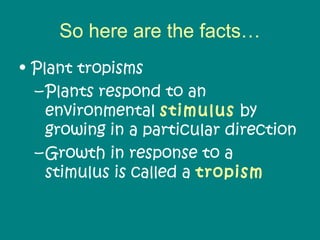 So here are the facts…
• Plant tropisms
  – Plants respond to an
    environmental stimulus by
    growing in a particular direction
  – Growth in response to a
    stimulus is called a tropism
 