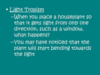 • Light Tropism
  – When you place a houseplant so
    that it gets light from only one
    direction, such as a window,
    what happens?
  – You may have noticed that the
    plant will start bending towards
    the light
 