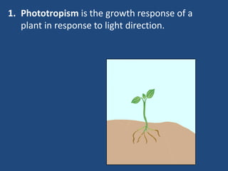 1. Phototropism is the growth response of a
plant in response to light direction.
 