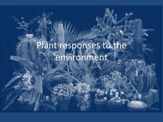 Plant responses to the
environment
 
