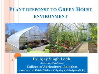PLANT RESPONSE TO GREEN HOUSE
ENVIRONMENT
Dr. Ajay Singh Lodhi
Assistant Professor
College of Agriculture, Balaghat
Jawahar Lal Krishi Vishwa Vidyalaya, Jabalpur (M.P.)
 