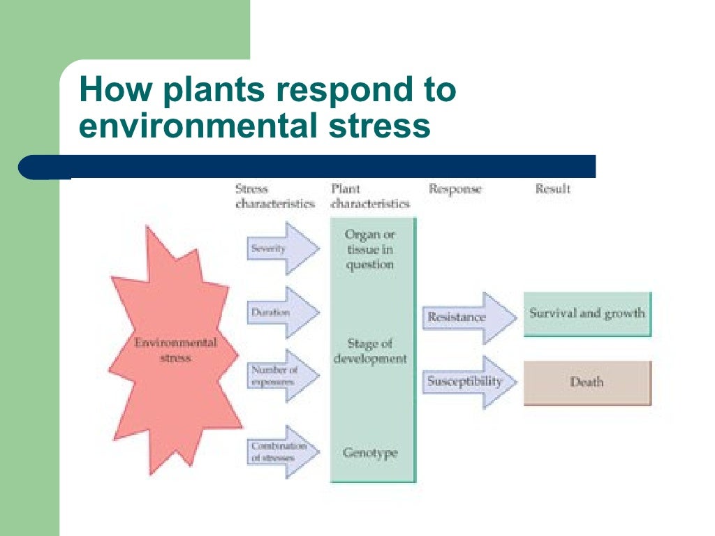 Plant response to stress