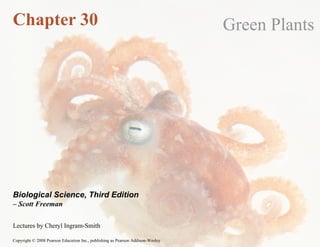 Chapter 30 Green Plants Lectures by Cheryl Ingram-Smith Biological Science, Third Edition –  Scott Freeman 