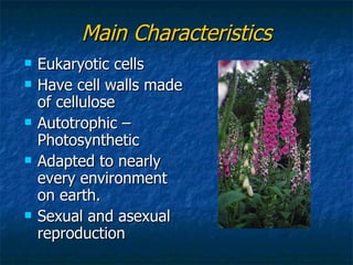 Main Characteristics Eukaryotic cells Have cell walls made of cellulose Autotrophic – Photosynthetic  Adapted to nearly every environment on earth. Sexual and asexual reproduction 