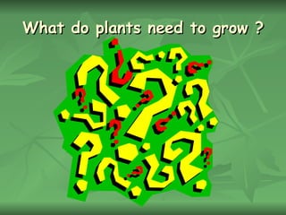 What do plants need to grow ? 