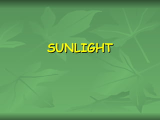 SUNLIGHT 