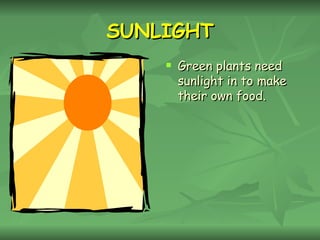 SUNLIGHT Green plants need sunlight in to make their own food. 