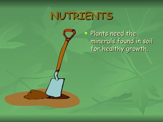 NUTRIENTS Plants need the minerals found in soil for healthy growth. 