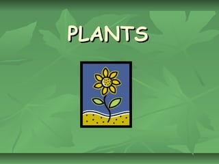 PLANTS 