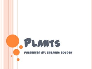 Plants Presented By: BreAnnaBogden 