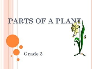 PARTS OF A PLANT



   Grade 3
 