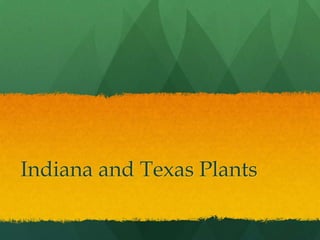 Indiana and Texas Plants
 