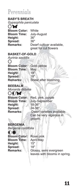 Perennials
BABY'S BREATH
Gypsophila paniculata

Bloom Color:    White
Bloom Time:     July-August
Height:         36"
Spread:         36"
Remarks:        Dwarf cultivar available,
                great for cut flowers
BASKET-OF-GOLD
Aurinia saxitillis

Bloom Color:    Gold-yellow
Bloom Time:     May
Height:         18"
Spread:         18"
Remarks:        Shear after blooming.
BEEBALM
Monarda didyma

Bloom Color:    Red, pink, purple
Bloom Time:     July-September
Height:         18-36"
Spread:         24-36"
Remarks:         Dwarf varieties available.
                Can be very vigorous in
                growth.
BERGENIA
Bergenia cordifolia

Bloom Color:    Rose pink
Bloom Time:     April-May
Height:         15"
Spread:         18"
Remarks:        Glossy, semi evergreen
                leaves with blooms in spring.




                                            11
 