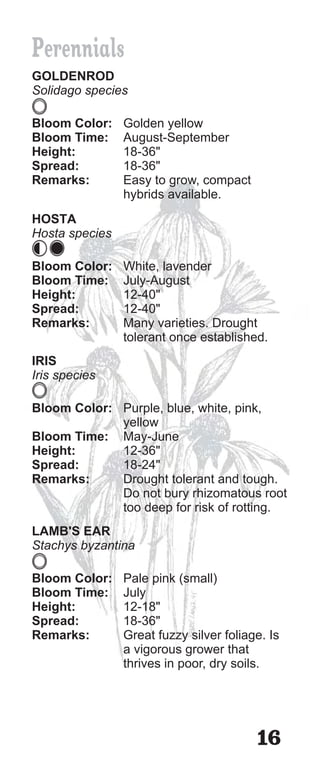 Perennials
GOLDENROD
Solidago species

Bloom Color:    Golden yellow
Bloom Time:     August-September
Height:         18-36"
Spread:         18-36"
Remarks:        Easy to grow, compact
                hybrids available.
HOSTA
Hosta species

Bloom Color:    White, lavender
Bloom Time:     July-August
Height:         12-40"
Spread:         12-40"
Remarks:        Many varieties. Drought
                tolerant once established.
IRIS
Iris species

Bloom Color: Purple, blue, white, pink,
             yellow
Bloom Time: May-June
Height:      12-36"
Spread:      18-24"
Remarks:     Drought tolerant and tough.
             Do not bury rhizomatous root
             too deep for risk of rotting.
LAMB'S EAR
Stachys byzantina

Bloom Color:    Pale pink (small)
Bloom Time:     July
Height:         12-18"
Spread:         18-36"
Remarks:        Great fuzzy silver foliage. Is
                a vigorous grower that
                thrives in poor, dry soils.




                                         16
 