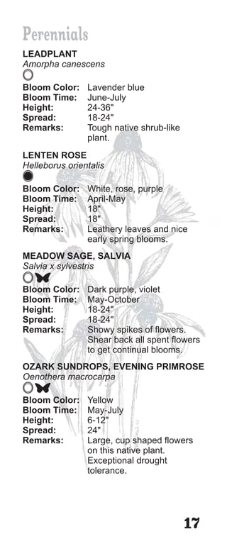 Perennials
LEADPLANT
Amorpha canescens

Bloom Color:    Lavender blue
Bloom Time:     June-July
Height:         24-36"
Spread:         18-24"
Remarks:        Tough native shrub-like
                plant.
LENTEN ROSE
Helleborus orientalis

Bloom Color:    White, rose, purple
Bloom Time:     April-May
Height:         18"
Spread:         18"
Remarks:        Leathery leaves and nice
                early spring blooms.
MEADOW SAGE, SALVIA
Salvia x sylvestris

Bloom Color:    Dark purple, violet
Bloom Time:     May-October
Height:         18-24"
Spread:         18-24"
Remarks:        Showy spikes of flowers.
                Shear back all spent flowers
                to get continual blooms.
OZARK SUNDROPS, EVENING PRIMROSE
Oenothera macrocarpa

Bloom Color:    Yellow
Bloom Time:     May-July
Height:         6-12"
Spread:         24"
Remarks:        Large, cup shaped flowers
                on this native plant.
                Exceptional drought
                tolerance.




                                          17
 