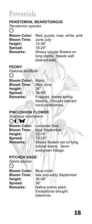 Perennials
PENSTEMON, BEARDTONGUE
Penstemon species

Bloom Color:    Red, purple, rose, white, pink
Bloom Time:     June-July
Height:         12-36"
Spread:         18-24"
Remarks:        Showy tubular flowers on
                long stems. Needs well
                drained soils.
PEONY
Paeonia lactiflora

Bloom Color:    Many
Bloom Time:     May-June
Height:         36"
Spread:         36-48"
Remarks:        Fragrant, showy spring
                blooms. Drought tolerant
                once established.
PINCUSHION FLOWER
Scabiosa columbaria

Bloom Color:    Lavender blue
Bloom Time:     May-September
Height:         12-18"
Spread:         12-18"
Remarks:        Showy flowers set on long,
                tubular stems. Semi-
                evergreen foliage.
PITCHER SAGE
Salvia azurea

Bloom Color:    Blue-violet
Bloom Time:     late July-early September
Height:         36-48"
Spread:         36"
Remarks:        Native prairie plant.
                Exceptional drought
                tolerance.



                                        18
 