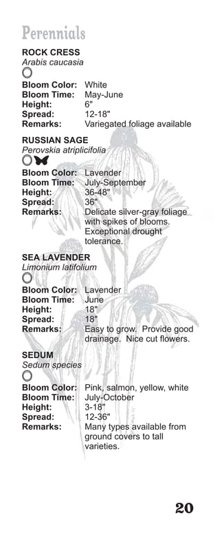 Perennials
ROCK CRESS
Arabis caucasia

Bloom Color:      White
Bloom Time:       May-June
Height:           6"
Spread:           12-18"
Remarks:          Variegated foliage available
RUSSIAN SAGE
Perovskia atriplicifolia

Bloom Color:      Lavender
Bloom Time:       July-September
Height:           36-48"
Spread:           36"
Remarks:          Delicate silver-gray foliage
                  with spikes of blooms.
                  Exceptional drought
                  tolerance.
SEA LAVENDER
Limonium latifolium

Bloom Color:      Lavender
Bloom Time:       June
Height:           18"
Spread:           18"
Remarks:          Easy to grow. Provide good
                  drainage. Nice cut flowers.
SEDUM
Sedum species

Bloom Color:      Pink, salmon, yellow, white
Bloom Time:       July-October
Height:           3-18"
Spread:           12-36"
Remarks:          Many types available from
                  ground covers to tall
                  varieties.




                                          20
 