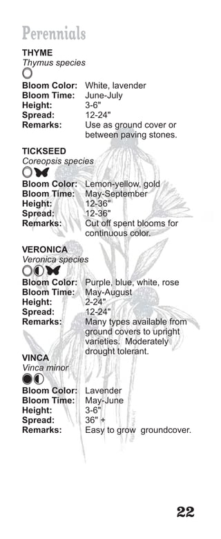 Perennials
THYME
Thymus species

Bloom Color:   White, lavender
Bloom Time:    June-July
Height:        3-6"
Spread:        12-24"
Remarks:       Use as ground cover or
               between paving stones.
TICKSEED
Coreopsis species

Bloom Color:   Lemon-yellow, gold
Bloom Time:    May-September
Height:        12-36"
Spread:        12-36"
Remarks:       Cut off spent blooms for
               continuous color.
VERONICA
Veronica species

Bloom Color:   Purple, blue, white, rose
Bloom Time:    May-August
Height:        2-24"
Spread:        12-24"
Remarks:       Many types available from
               ground covers to upright
               varieties. Moderately
               drought tolerant.
VINCA
Vinca minor

Bloom Color:   Lavender
Bloom Time:    May-June
Height:        3-6"
Spread:        36" +
Remarks:       Easy to grow groundcover.




                                      22
 