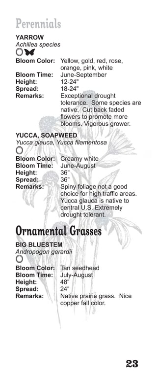 Perennials
YARROW
Achillea species

Bloom Color: Yellow, gold, red, rose,
             orange, pink, white
Bloom Time: June-September
Height:      12-24"
Spread:      18-24"
Remarks:     Exceptional drought
             tolerance. Some species are
             native. Cut back faded
             flowers to promote more
             blooms. Vigorous grower.
YUCCA, SOAPWEED
Yucca glauca, Yucca filamentosa

Bloom Color:       Creamy white
Bloom Time:        June-August
Height:            36"
Spread:            36"
Remarks:           Spiny foliage not a good
                   choice for high traffic areas.
                   Yucca glauca is native to
                   central U.S. Extremely
                   drought tolerant.

Ornamental Grasses
BIG BLUESTEM
Andropogon gerardii

Bloom Color:       Tan seedhead
Bloom Time:        July-August
Height:            48"
Spread:            24"
Remarks:           Native prairie grass. Nice
                   copper fall color.




                                            23
 