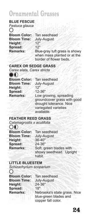 Ornamental Grasses
BLUE FESCUE
Festuca glauca

Bloom Color:     Tan seedhead
Bloom Time:      July-August
Height:          12"
Spread:          12"
Remarks:         Blue-gray tuft grass is showy
                 when mass planted or at the
                 border of flower beds.
CAREX OR SEDGE GRASS
Carex elata, Carex stricta

Bloom Color:     Tan seedhead
Bloom Time:      July-August
Height:          12"
Spread:          12-36"
Remarks:         Low growing, spreading
                 groundcover grass with good
                 drought tolerance. Nice
                 variegated varieties
                 available.
FEATHER REED GRASS
Calamagrostis x acutifolia

Bloom Color:     Tan seedhead
Bloom Time:      July-August
Height:          36-40"
Spread:          24-36"
Remarks:         Soft, green blades with
                 showy seedhead. Upright
                 habit.
LITTLE BLUESTEM
Schizachyrium scoparium

Bloom Color:     Tan seedhead
Bloom Time:      July-August
Height:          24-36"
Spread:          18"
Remarks:         Nebraska's state grass. Nice
                 blue-green blades and
                 copper fall color.

                                        24
 