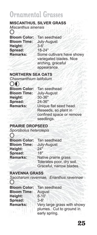 Ornamental Grasses
MISCANTHUS, SILVER GRASS
Miscanthus sinensis

Bloom Color:   Tan seedhead
Bloom Time:    July-August
Height:        3-6'
Spread:        18-24"
Remarks:       Some cultivars have showy
               variegated blades. Nice
               arching, graceful
               appearance.
NORTHERN SEA OATS
Chasmanthium latifolium

Bloom Color:   Tan seedhead
Bloom Time:    July-August
Height:        30-36"
Spread:        24-36"
Remarks:       Unique flat seed head.
               Reseeds, so plant in
               confined space or remove
               seedlings.
PRAIRIE DROPSEED
Sporobolus heterolepis

Bloom Color:   Tan seedhead
Bloom Time:    July-August
Height:        24"
Spread:        18"
Remarks:       Native prairie grass.
               Tolerates poor, dry soil.
               Graceful, narrow blades.
RAVENNA GRASS
Saccharum ravennae, Erianthus ravennae

Bloom Color:   Tan seedhead
Bloom Time:    August
Height:        8-10'
Spread:        3-6'
Remarks:       Very large grass with showy
               plumes. Cut to ground in
               early spring.

                                       25
 
