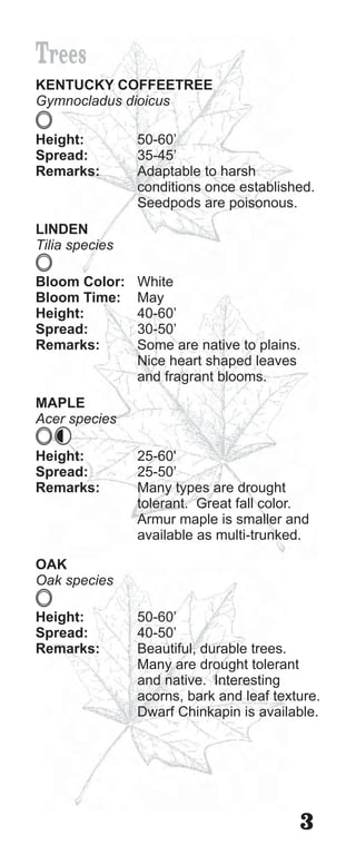 Trees
KENTUCKY COFFEETREE
Gymnocladus dioicus

Height:         50-60’
Spread:         35-45’
Remarks:        Adaptable to harsh
                conditions once established.
                Seedpods are poisonous.
LINDEN
Tilia species

Bloom Color:    White
Bloom Time:     May
Height:         40-60’
Spread:         30-50’
Remarks:        Some are native to plains.
                Nice heart shaped leaves
                and fragrant blooms.
MAPLE
Acer species

Height:         25-60'
Spread:         25-50’
Remarks:        Many types are drought
                tolerant. Great fall color.
                Armur maple is smaller and
                available as multi-trunked.

OAK
Oak species

Height:         50-60’
Spread:         40-50’
Remarks:        Beautiful, durable trees.
                Many are drought tolerant
                and native. Interesting
                acorns, bark and leaf texture.
                Dwarf Chinkapin is available.




                                          3
 