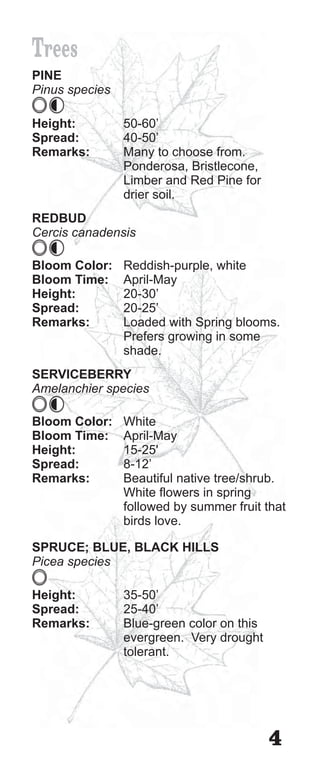 Trees
PINE
Pinus species

Height:         50-60’
Spread:         40-50’
Remarks:        Many to choose from.
                Ponderosa, Bristlecone,
                Limber and Red Pine for
                drier soil.
REDBUD
Cercis canadensis

Bloom Color:    Reddish-purple, white
Bloom Time:     April-May
Height:         20-30’
Spread:         20-25’
Remarks:        Loaded with Spring blooms.
                Prefers growing in some
                shade.
SERVICEBERRY
Amelanchier species

Bloom Color:    White
Bloom Time:     April-May
Height:         15-25'
Spread:         8-12’
Remarks:        Beautiful native tree/shrub.
                White flowers in spring
                followed by summer fruit that
                birds love.

SPRUCE; BLUE, BLACK HILLS
Picea species

Height:         35-50’
Spread:         25-40’
Remarks:        Blue-green color on this
                evergreen. Very drought
                tolerant.




                                           4
 