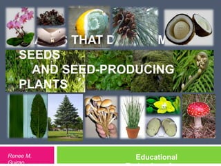 PLANTS THAT DO NOT MAKE
   SEEDS
     AND SEED-PRODUCING
   PLANTS




Renee M.          Educational
Guirao
 