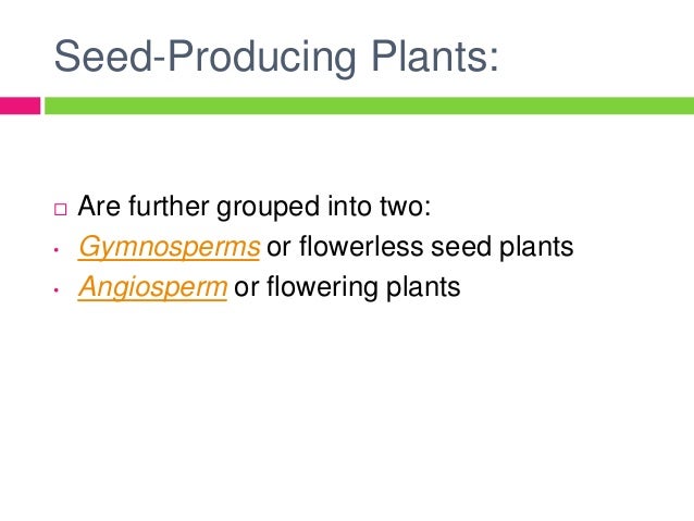 Plants Plants