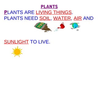 PLANTS
PLANTS ARE LIVING THINGS.
PLANTS NEED SOIL, WATER, AIR AND



SUNLIGHT TO LIVE.
 