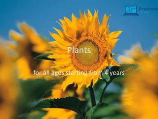 Plants
for all ages starting from 4 years

 