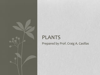 PLANTS
Prepared by Prof. Craig A. Casillas

 