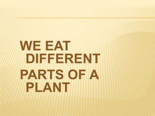 WE EAT
DIFFERENT
PARTS OF A
PLANT