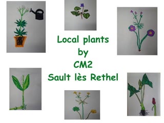 Local plants
by
CM2
Sault lès Rethel
 
