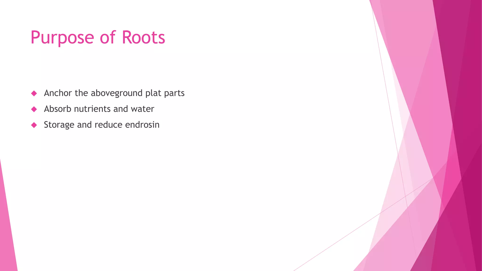 Purpose of Roots
 Anchor the aboveground plat parts
 Absorb nutrients and water
 Storage and reduce endrosin
 