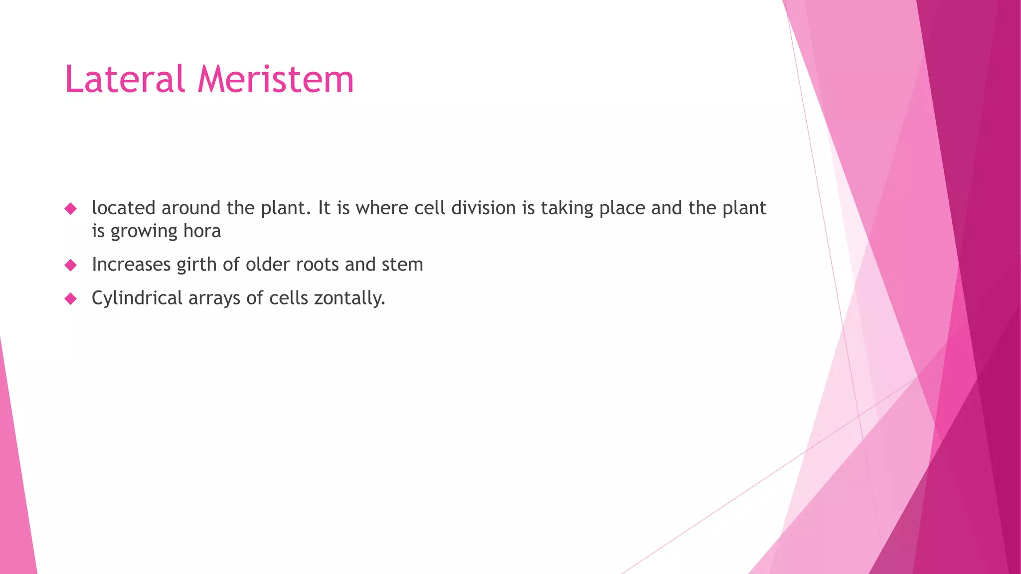 Lateral Meristem
 located around the plant. It is where cell division is taking place and the plant
is growing hora
 Increases girth of older roots and stem
 Cylindrical arrays of cells zontally.
 