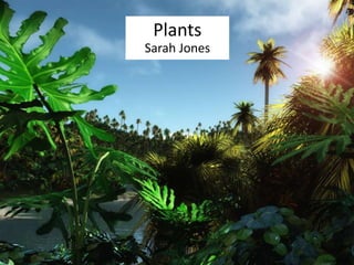 Plants 
Sarah Jones 
hdw.eweb4.com 
 