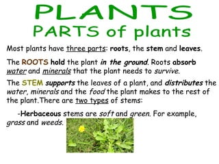 PLANTS parts and classification | PPT